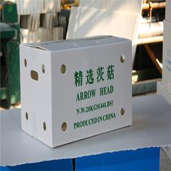 杭州鈣塑蔬菜箱 鈣塑蔬菜箱 飛燕塑膠制品
