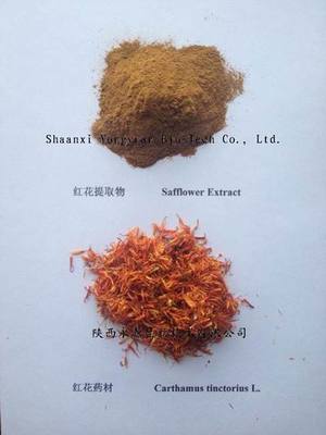 探索自然奧秘 紅花提取物的研發(fā)歷程與應(yīng)用前景