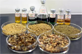 鄭州大學(xué)賈陸教授團(tuán)隊(duì)突破創(chuàng)新 金絲楠木提取物研發(fā)獲國(guó)家專(zhuān)利，植物提取技術(shù)再攀高峰